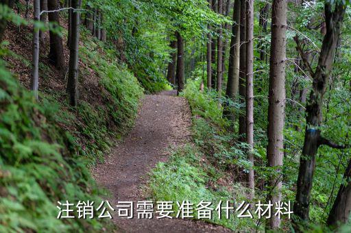 公司注銷帶什么資料嗎，公司銷戶要帶什么資料