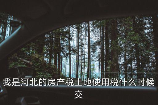 我是河北的房產(chǎn)稅土地使用稅什么時候交