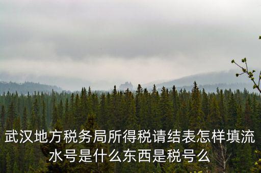 武漢地方稅務(wù)局所得稅請(qǐng)結(jié)表怎樣填流水號(hào)是什么東西是稅號(hào)么