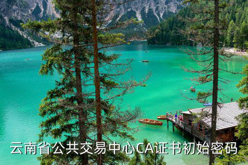 ca證書的原始密碼是什么，云南省公共交易中心CA證書初始密碼