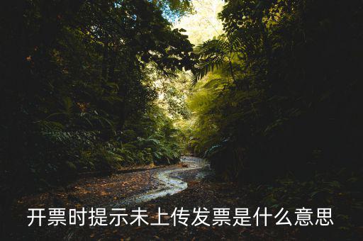 開票時(shí)提示未上傳發(fā)票是什么意思