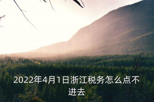 2022年4月1日浙江稅務怎么點不進去