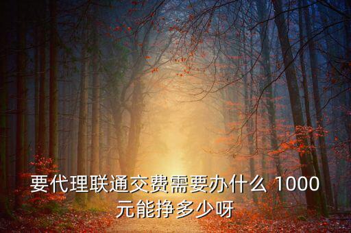 要代理聯(lián)通交費需要辦什么 1000元能掙多少呀