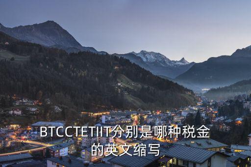 BTCCTETIIT分別是哪種稅金的英文縮寫