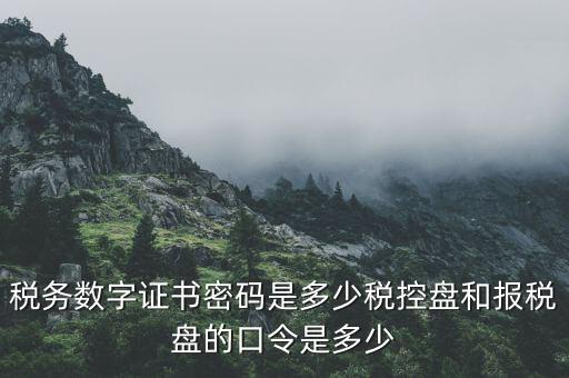 國稅申報ca默認密碼是什么意思，國家稅務(wù)總局網(wǎng)上辦稅服務(wù)廳初始密碼是什么