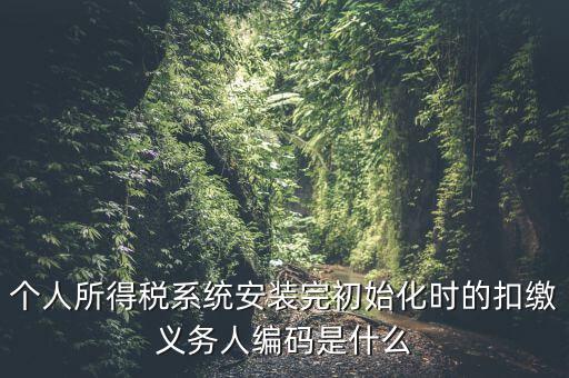 個人所得稅系統(tǒng)安裝完初始化時的扣繳義務(wù)人編碼是什么