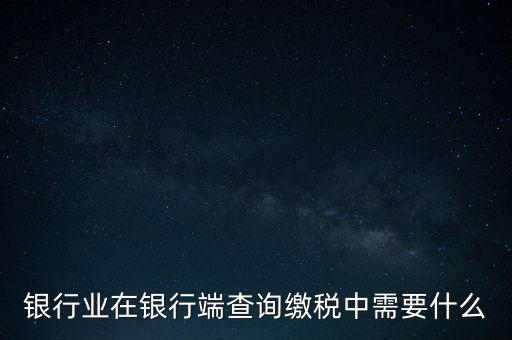 銀行業(yè)在銀行端查詢繳稅中需要什么