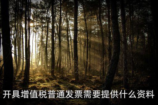 開增值稅提供什么資料，開具增值稅普通發(fā)票需要提供什么資料