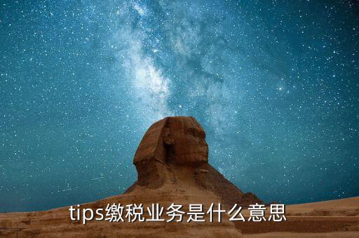 地稅tips繳款是什么意思，tips扣稅是什么意思