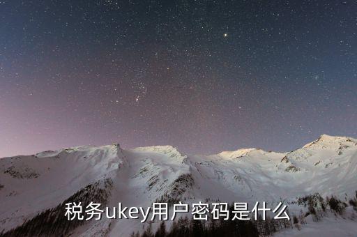 稅務ukey用戶密碼是什么