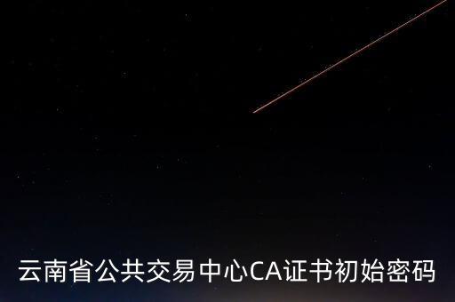 ca原始密碼登錄是什么，蘇州投標ca初始密碼