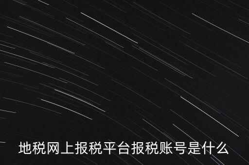 地稅網上報稅平臺報稅賬號是什么