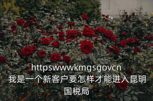 httpswwwkmgsgovcn 我是一個(gè)新客戶要怎樣才能進(jìn)入昆明國稅局