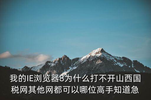 我的IE瀏覽器8為什么打不開山西國(guó)稅網(wǎng)其他網(wǎng)都可以哪位高手知道急