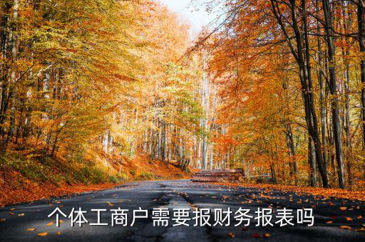 個體戶都需要申報什么表，個體工商戶需要報財務(wù)報表嗎