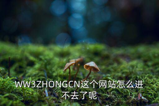 WW3ZHONGCN這個網(wǎng)站怎么進不去了呢