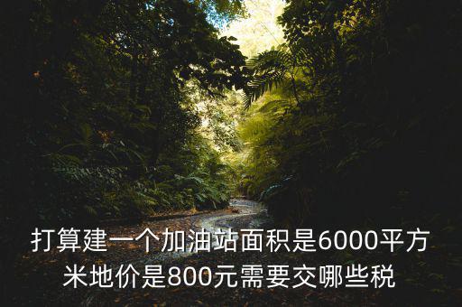 加油站都繳什么稅，打算建一個加油站面積是6000平方米地價是800元需要交哪些稅