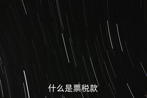 什么是票稅款