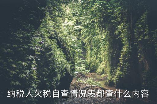 重點(diǎn)納稅人走訪情況表是什么，納稅人自查情況說(shuō)明表里各項(xiàng)都填什么