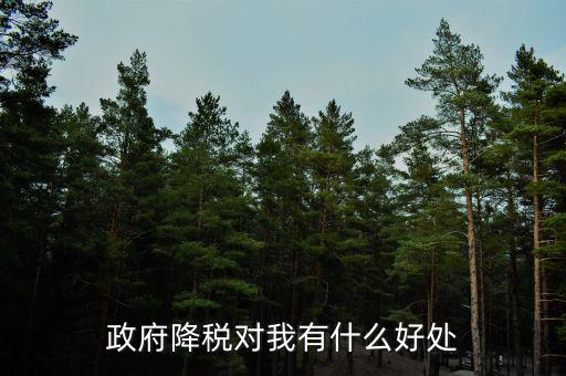 減稅有什么調(diào)節(jié)作用，政府降稅對(duì)我有什么好處