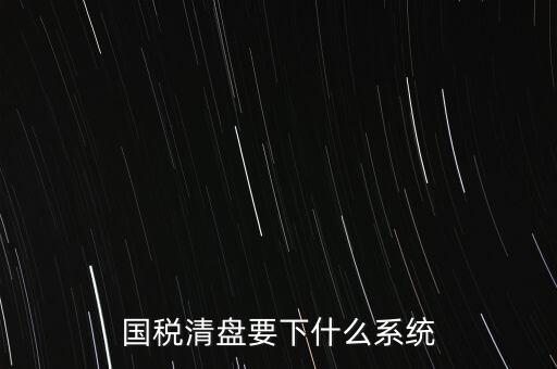 新疆國稅報稅什么系統(tǒng)，新疆國稅什么申報