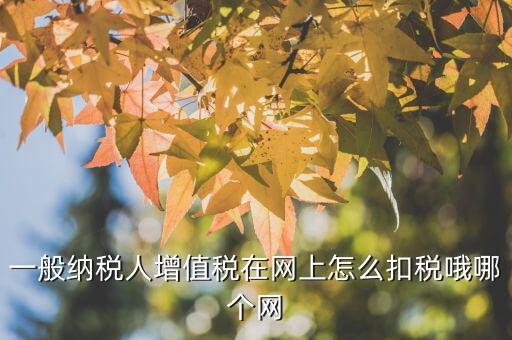 一般納稅人增值稅在網(wǎng)上怎么扣稅哦哪個網(wǎng)