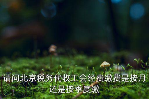 請問北京稅務代收工會經(jīng)費繳費是按月還是按季度繳