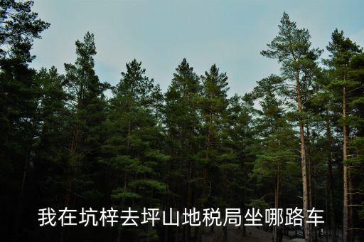 我在坑梓去坪山地稅局坐哪路車