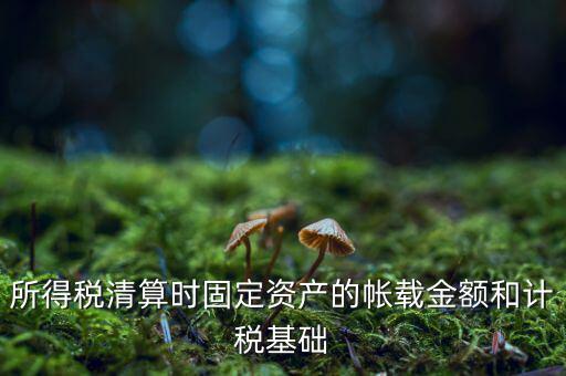 所得稅清算時(shí)固定資產(chǎn)的帳載金額和計(jì)稅基礎(chǔ)