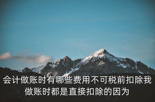 什么不可以稅前扣除嗎，納稅人哪些支出不能在企業(yè)所得稅前扣除