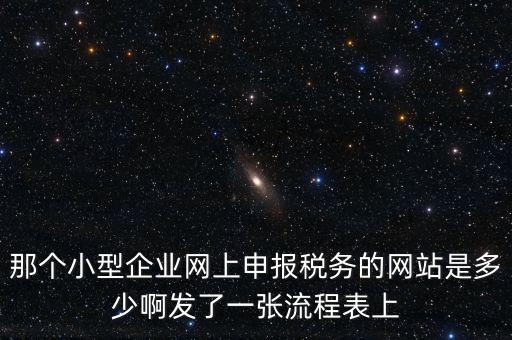 那個小型企業(yè)網上申報稅務的網站是多少啊發(fā)了一張流程表上