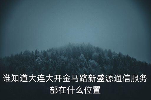 信息服務(wù)部可以叫什么地方，誰知道大連大開金馬路新盛源通信服務(wù)部在什么位置