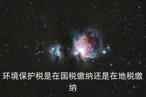 什么是環(huán)境保護稅納稅人，環(huán)境稅是什么意思