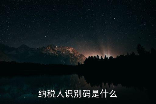 網(wǎng)上報(bào)稅納稅人識別碼是什么，納稅人識別碼是什么