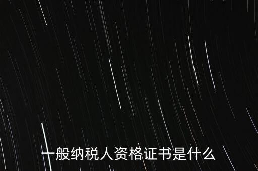 納稅資格證書是什么，一般納稅人資格證什么