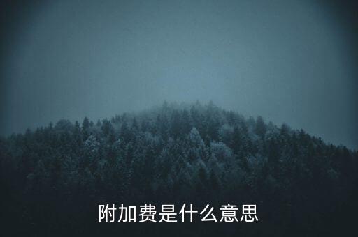 附加費(fèi)是什么意思