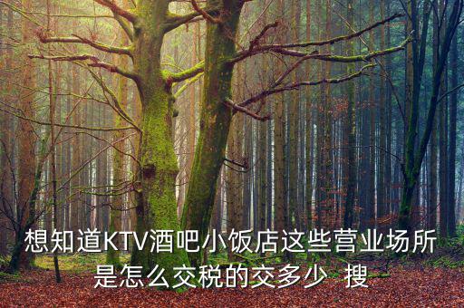 ktv交納什么稅，想知道KTV酒吧小飯店這些營業(yè)場所是怎么交稅的交多少  搜