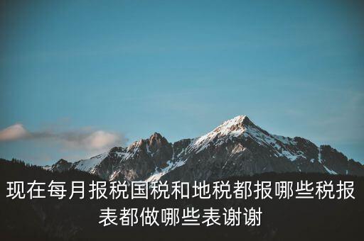 國稅報什么，現(xiàn)在每月報稅國稅和地稅都報哪些稅報表都做哪些表謝謝