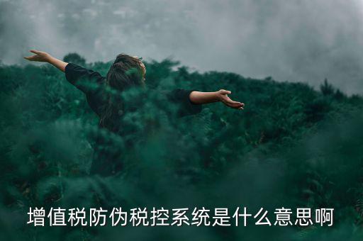 增值稅防偽稅控系統(tǒng)是什么意思啊