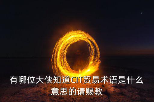 有哪位大俠知道CIT貿(mào)易術(shù)語是什么意思的請賜教