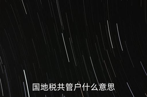 國地稅共管戶什么意思