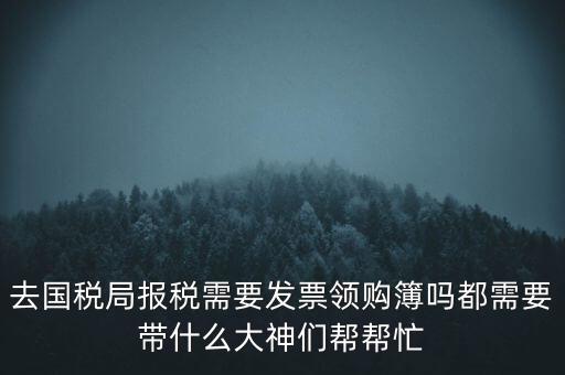 去國稅局報稅需要發(fā)票領(lǐng)購簿嗎都需要帶什么大神們幫幫忙