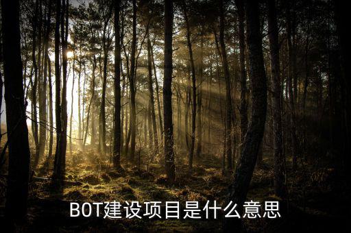 B0T建設(shè)項目是什么意思