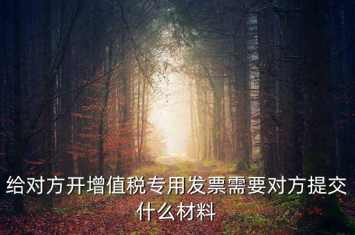 開專票要什么資料，加油卡開增值稅專用發(fā)票需要什么資料