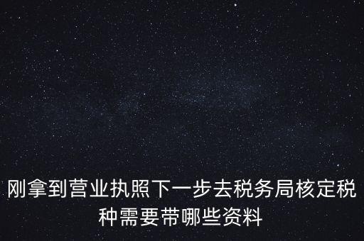 剛拿到營業(yè)執(zhí)照下一步去稅務(wù)局核定稅種需要帶哪些資料