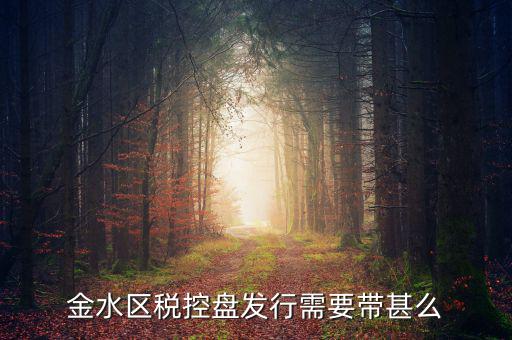 金水區(qū)稅控盤發(fā)行需要帶甚么