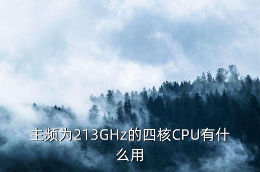 主頻為213GHz的四核CPU有什么用