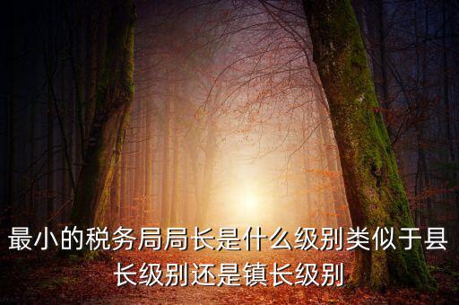 最小的稅務(wù)局局長(zhǎng)是什么級(jí)別類(lèi)似于縣長(zhǎng)級(jí)別還是鎮(zhèn)長(zhǎng)級(jí)別