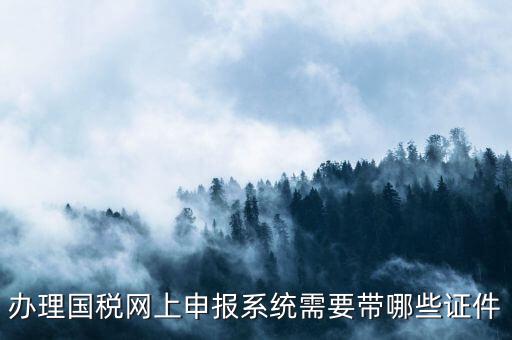 辦理國稅網(wǎng)上申報(bào)系統(tǒng)需要帶哪些證件