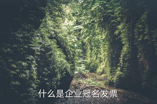 冠名發(fā)票屬于什么發(fā)票，什么是企業(yè)冠名發(fā)票